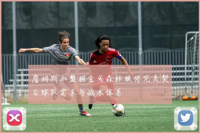詹姆斯加盟掘金或森林狼将完美契合球队需求与战术体系