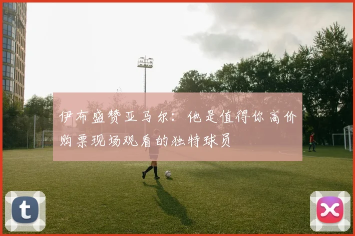 伊布盛赞亚马尔：他是值得你高价购票现场观看的独特球员