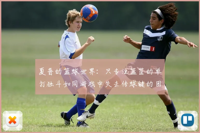 夏普的篮球世界：只专注篮筐的单打独斗如同游戏中失去传球键的困境